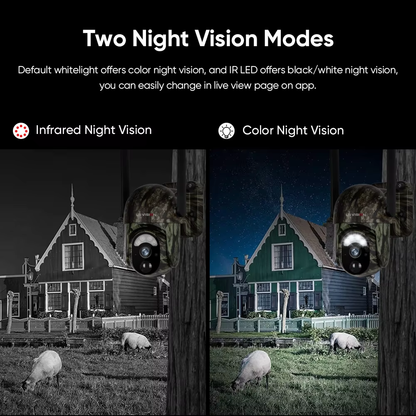 Infrared and full-color night view comparison